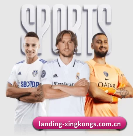 五大服务分区,信息按项目分类 - xingkong